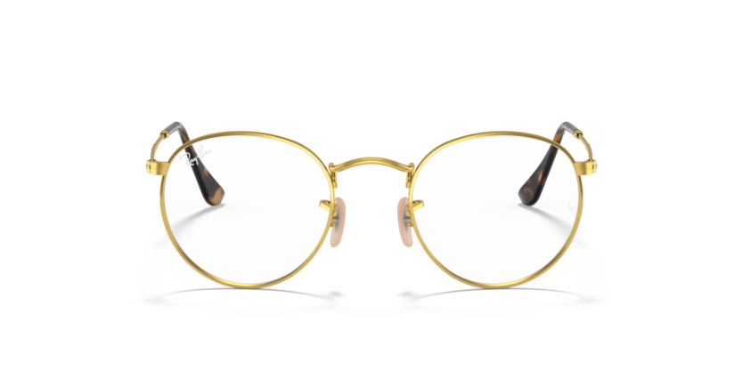 Ray-Ban® RB 3447V ROUND METAL 2500 53