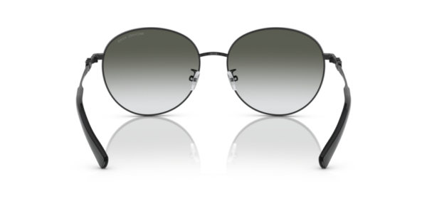Okulary przeciwsłoneczne Michael Kors MK 1119 ALPINE 10058E