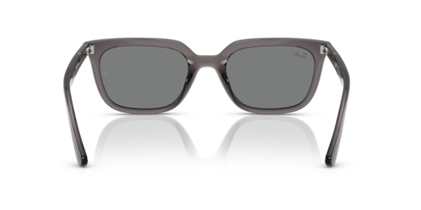 Okulary przeciwsłoneczne Ray-Ban® RB 4439D 6675/87 54