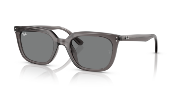 Okulary przeciwsłoneczne Ray-Ban® RB 4439D 6675/87 54