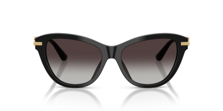 Okulary przeciwsłoneczne Dolce & Gabbana DG 4534 501/8G 53