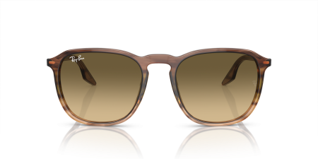 Okulary przeciwsłoneczne Ray-Ban® RB 2203 1392/0A 55