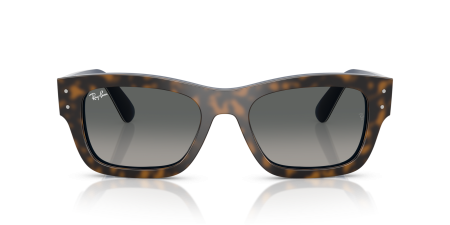Okulary przeciwsłoneczne Ray-Ban® RB 7683S 140171 55